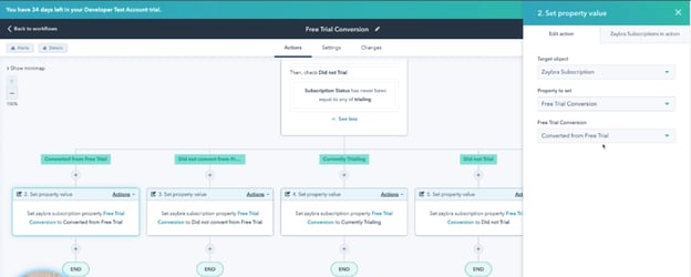 zaybra free trial conversion reporting step #4